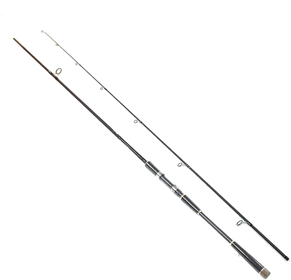 Amazon | シェアーズ(Shares) SOLFIESTA(ソルフィエスタ) SEABASS