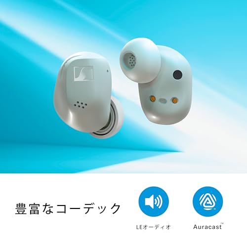 SENNHEISER(ゼンハイザー) ACCENTUM True Wireless カナル型 レビュー