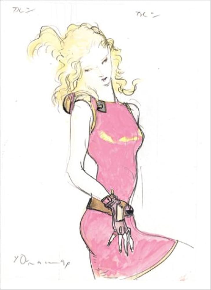 Amazon.fr - 天野喜孝美女画集 処女宮 - Livres