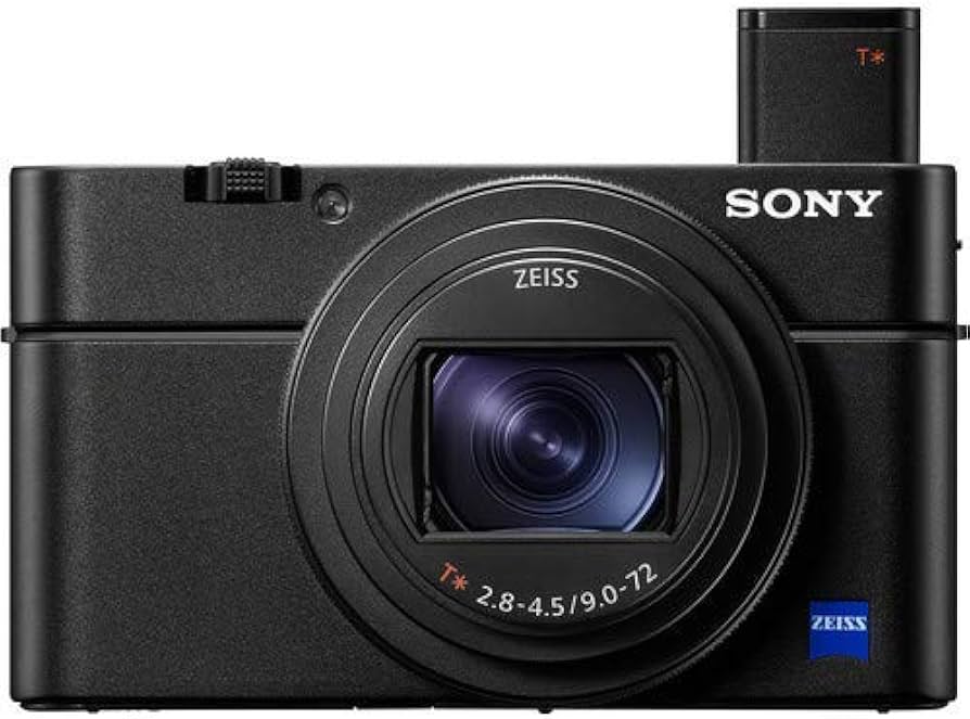 Amazon.com : Sony Cyber-Shot DSC-RX100 VII Digital Camera with