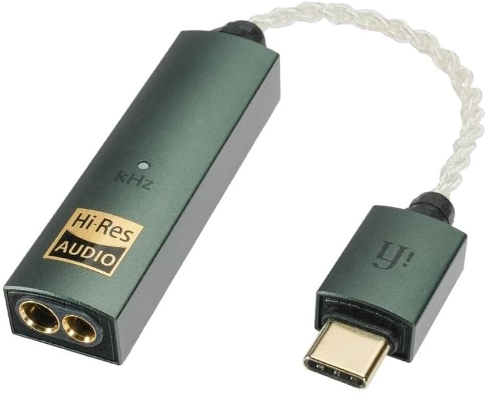 Amazon.co.jp: iFi audio GO link MAX IFI-GO-LINKMAX【日本正規店より