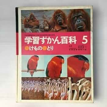 418TmLahnbL._AC_UF350,