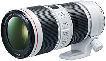 Amazon.com : Canon EF 70-200mm f/4-32 II USM Lens for Canon