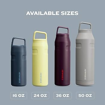 Amazon.com : Stanley IceFlow Cap and Carry Water Bottle 16 oz