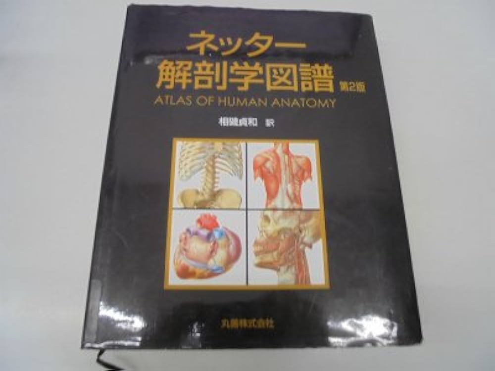 ネッター解剖学図譜 第2版 | ネッター, 相磯 貞和 |本 | 通販 | Amazon