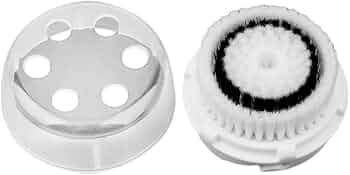 41+FVG2SYIL._AC_UF350,