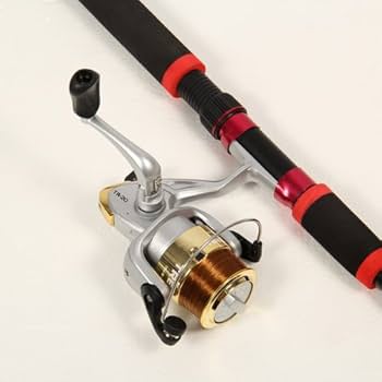 Amazon | プロマリン(PRO MARINE) ロッド PG わくわくサビキ釣りセット