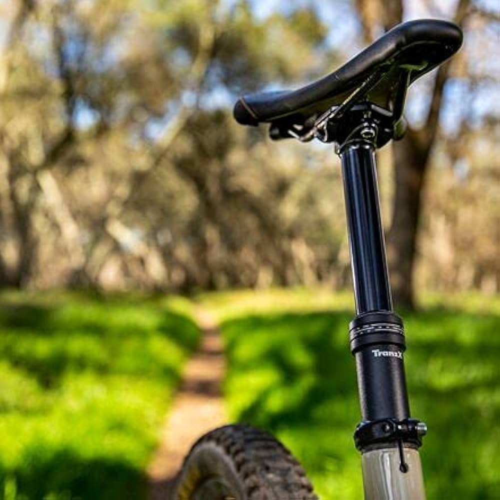 Amazon | Tranz-X スカイライン スポイトポスト (30.9、レバーなし