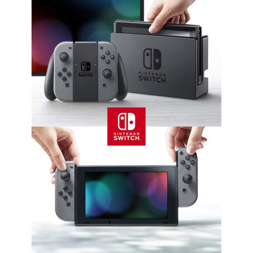 Nintendo Switch Console Gray Joy-Con : Amazon.ca: Video Games
