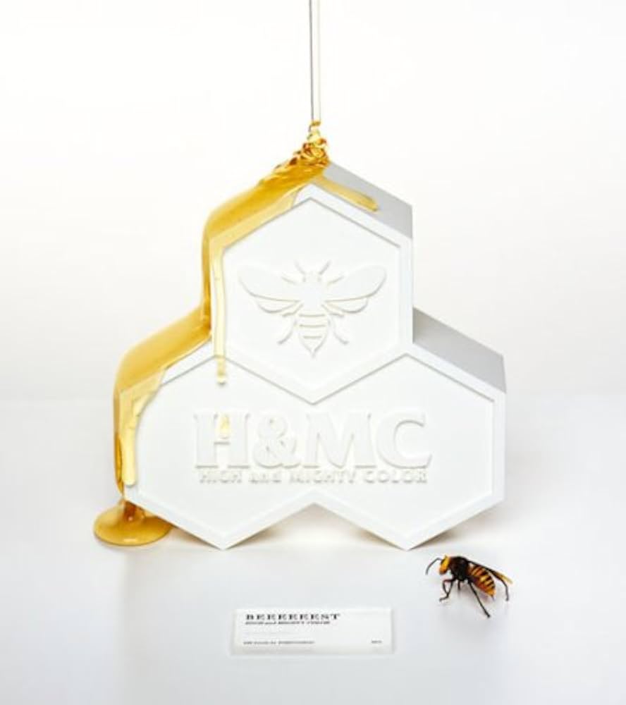 Amazon.co.jp: BEEEEEEST(期間限定) - HIGH and MIGHTY COLOR (DVD付