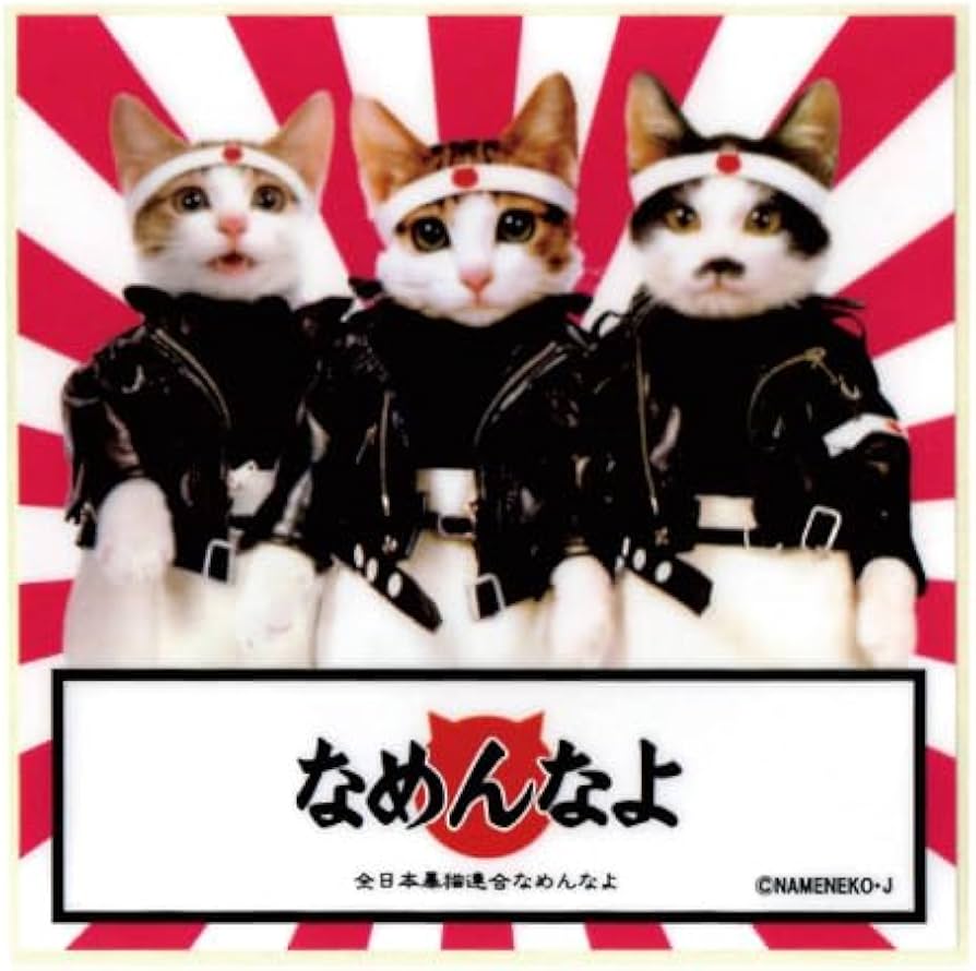 Amazon.co.jp: [なめ猫] なめんなよ ステッカー NAMENNAYO ST-A9
