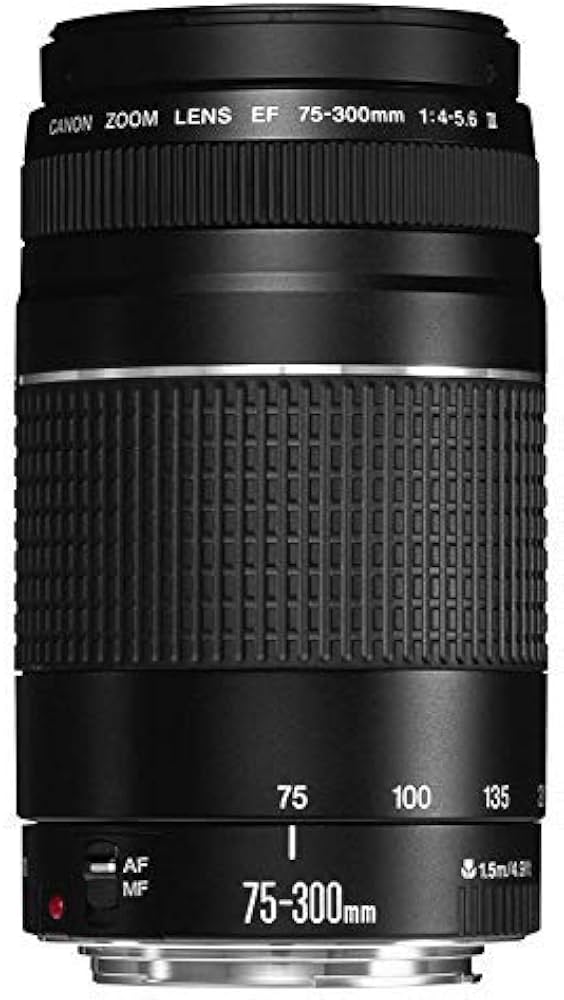 Canon EF 75-300 mm f/4-5.6 III Telephoto Zoom Lens for Canon SLR