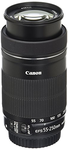 Amazon.com : Canon EF-S 55-250mm F4-5.6 is STM, Telephoto, Black