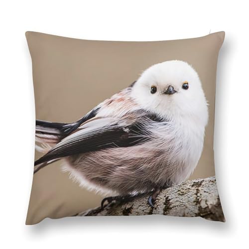 クッションカバー 鳥」の人気商品一覧 | 安い商品を通販サイトから探す