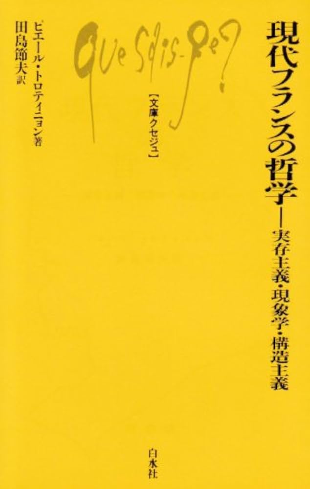 超希少】フランス実存主義 世界の思想24 NHK「100分de名著」ブックス