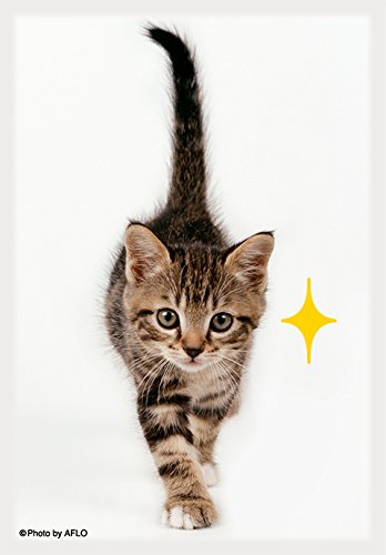 Amazon | ブロッコリーキャラクタースリーブ・ミニ 猫「キラリ