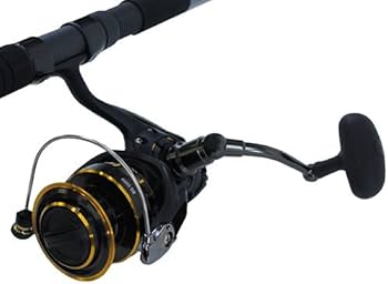 Amazon.com : Daiwa BG5000/701H BG Saltwater Pre-Mounted Combo