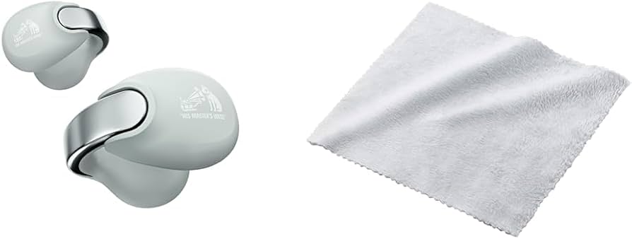 Amazon.co.jp: JVCケンウッド Victor HA-NP1T-H ワイヤレスイヤホン