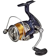 Amazon | ダイワ(DAIWA) トラウトロッド ワイズストリーム 62LB-3