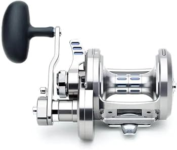 Amazon | ダイワ ソルティガ レバードラグ 2スピードリール SAGLD55