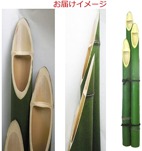 Amazon.co.jp: 門松用の竹 最長60cm前後3本結束x1 お正月ディスプレイ