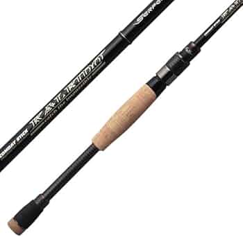 41x7+1NE1UL._AC_UF350,