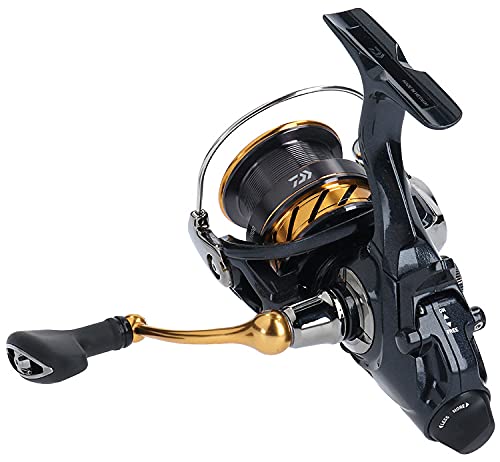 Amazon | ダイワ(DAIWA) スピニングリール(ヤエン) 19 アオリマチック