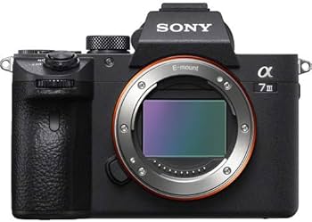 Amazon.com : Sony Alpha a7 III Mirrorless Camera with 28-70 Lens