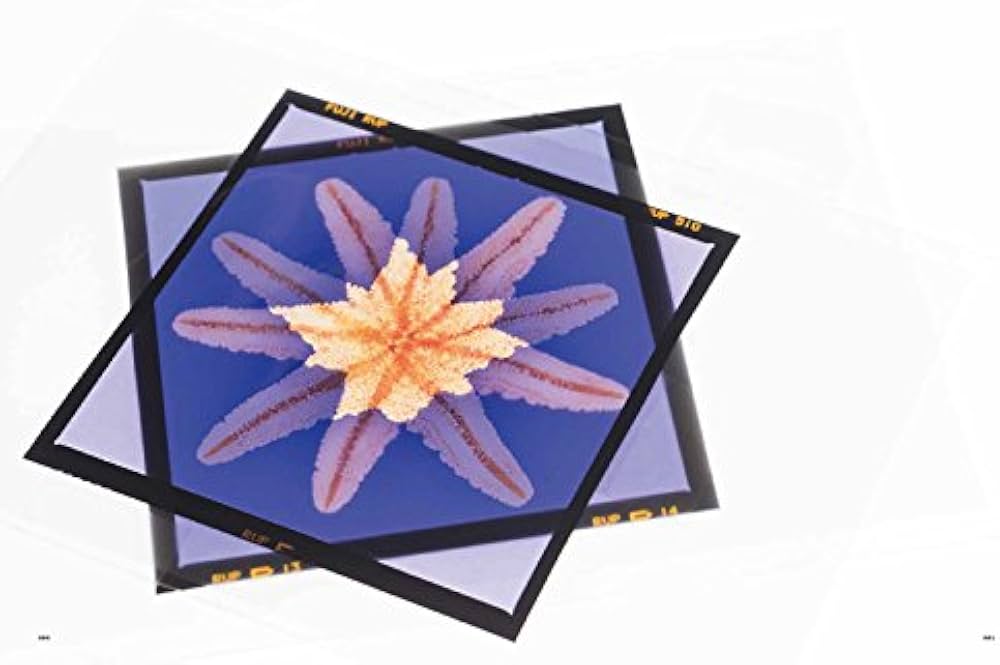 スピッツのデザイン 予約特典版 | MdN編集部 |本 | 通販 | Amazon