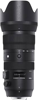 Amazon.co.jp: シグマ(Sigma) レンズ 70-200mm F2.8 DG OS HSM Canon