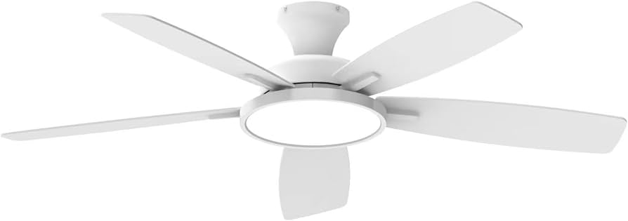 Amazon.co.jp : 【節電-5年保証】TALOYA シーリングファンライト