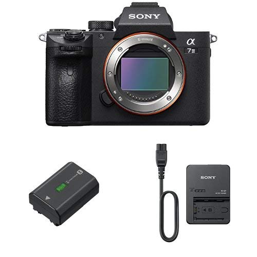 鯖さん専用 SONY α7RIII ミラーレス一眼カメラ 本体のみバッテリーなし