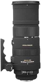 41ASdtoMMtL._AC_UF350,