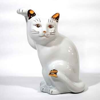 41ApfnZycFL._AC_UF350,