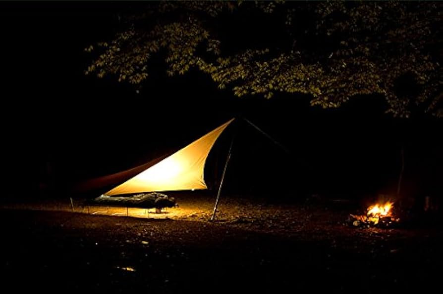 Amazon.co.jp: テンマクデザイン ムササビウィング13ft.TC [焚き火