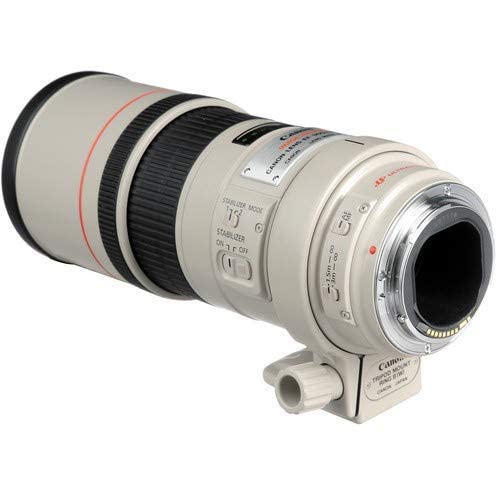 Amazon.co.jp: Canon EF 300mm f/4L IS USM SLR Telephoto lens White