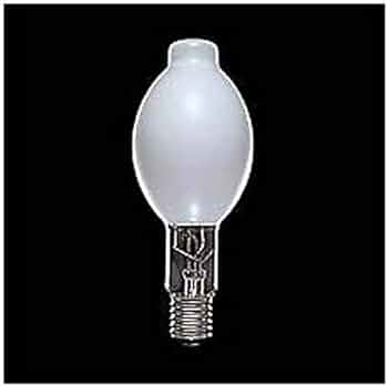 41CZ5B0Jc-L._AC_UF350,