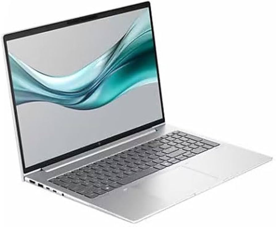 Amazon.com: HP EliteBook 665 G11 16