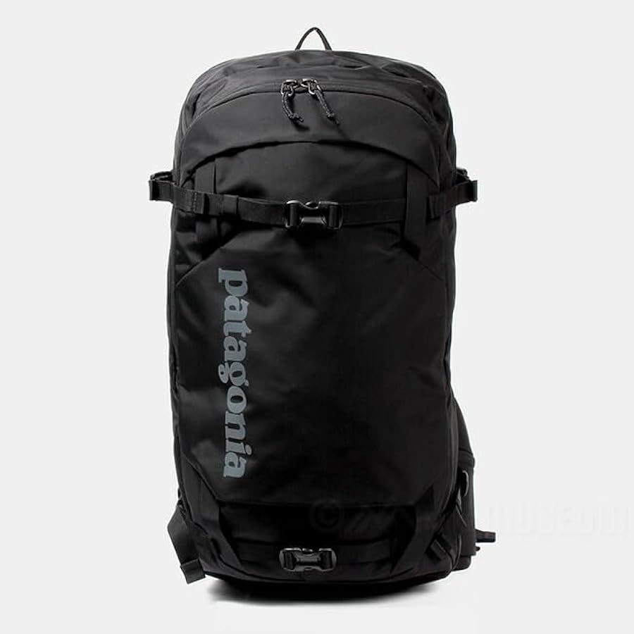 Amazon | [パタゴニア] バックパック デイパック リュック SNOW