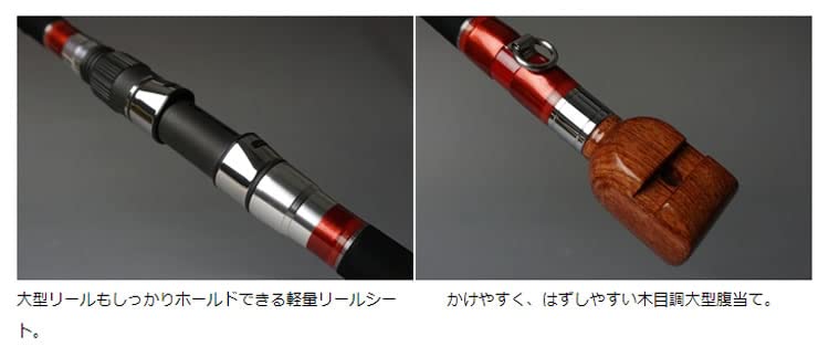 Amazon.co.jp: ダイワ(DAIWA) 石鯛竿 幻覇王別誂 WHITEKING 543・Q