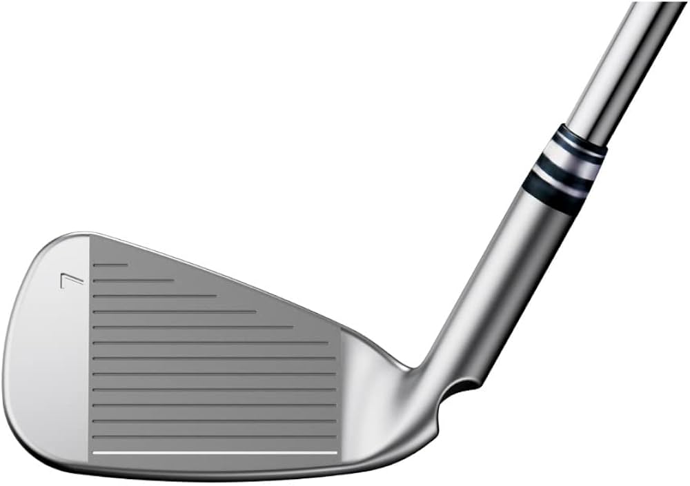 Amazon.co.jp: ピン G425 アイアンセット 6本組(5I-PW) N.S.PRO MODUS