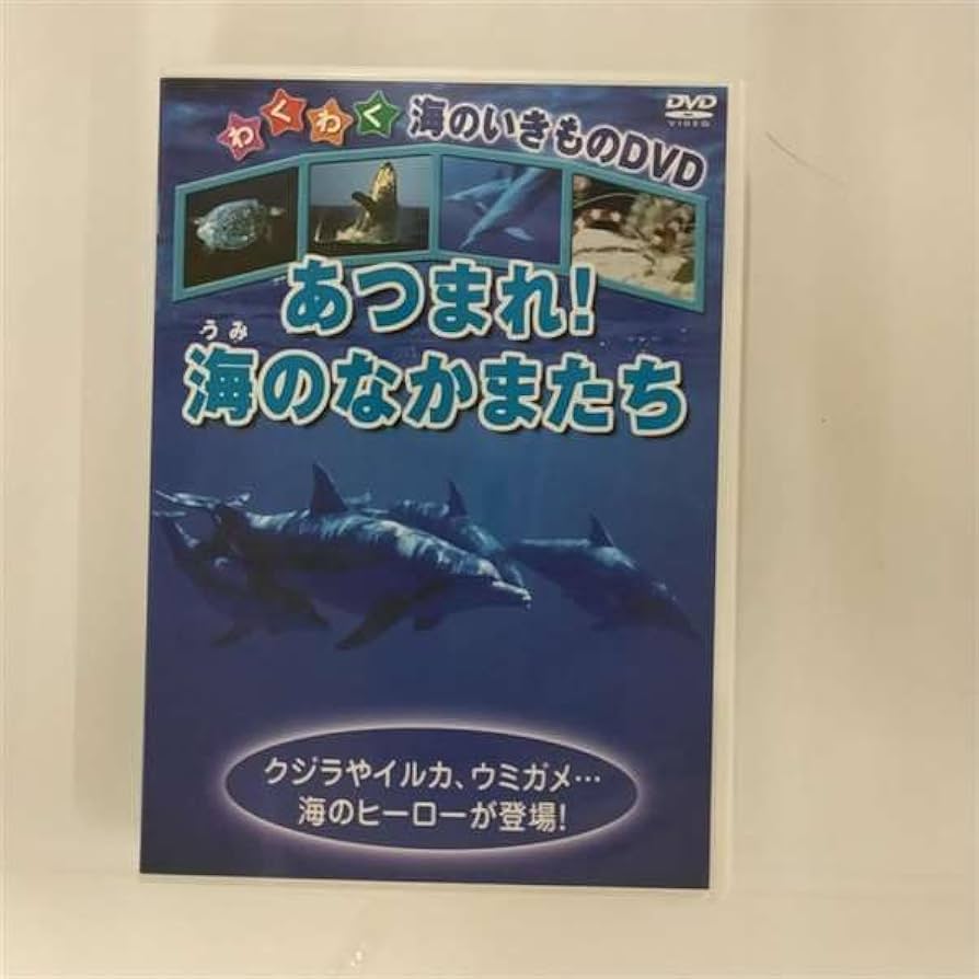 Amazon.com: あつまれ!海のなかまたち [DVD] : Movies & TV