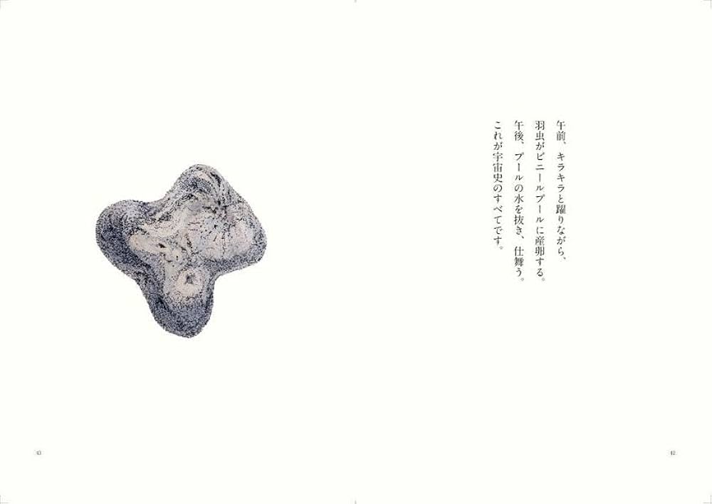 宝石の国(13)特装版 (講談社キャラクターズA) | 市川 春子 |本 | 通販