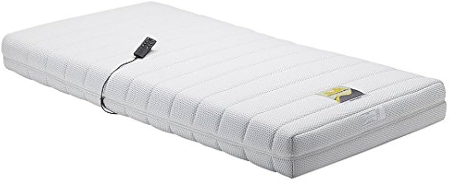 Amazon.co.jp: フランスベッド 電動リクライニングマットレス ルーパー