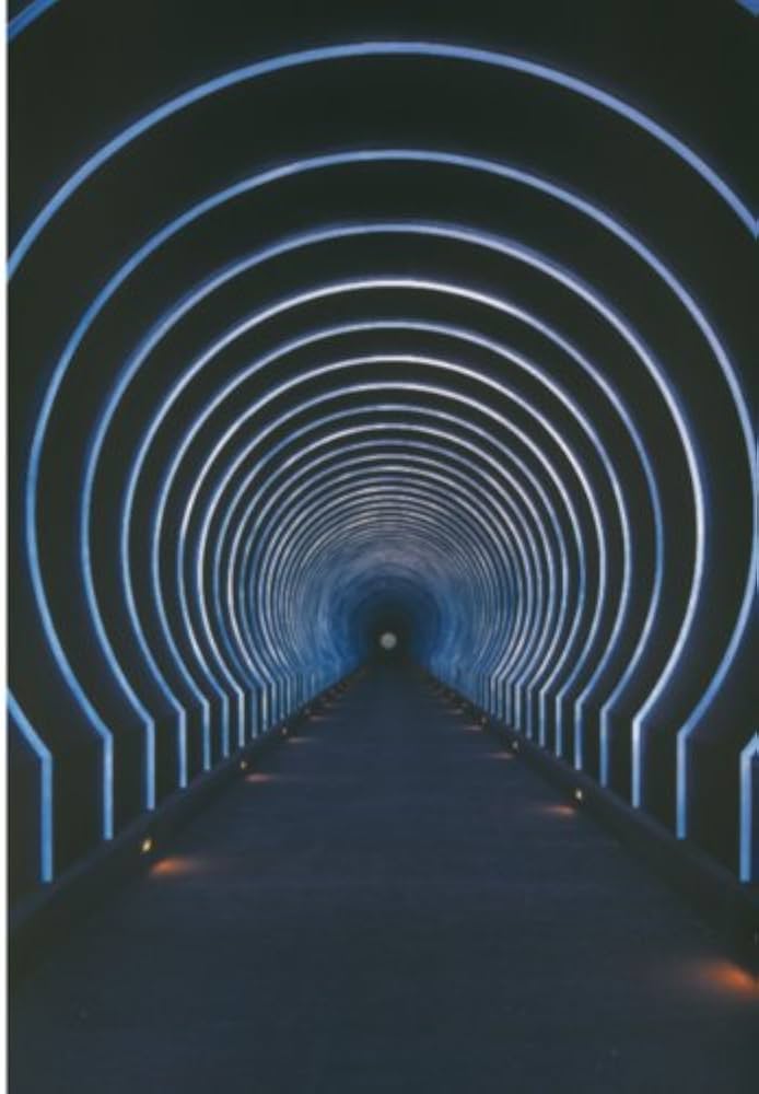 41JO4W120XL._AC_UF1000,