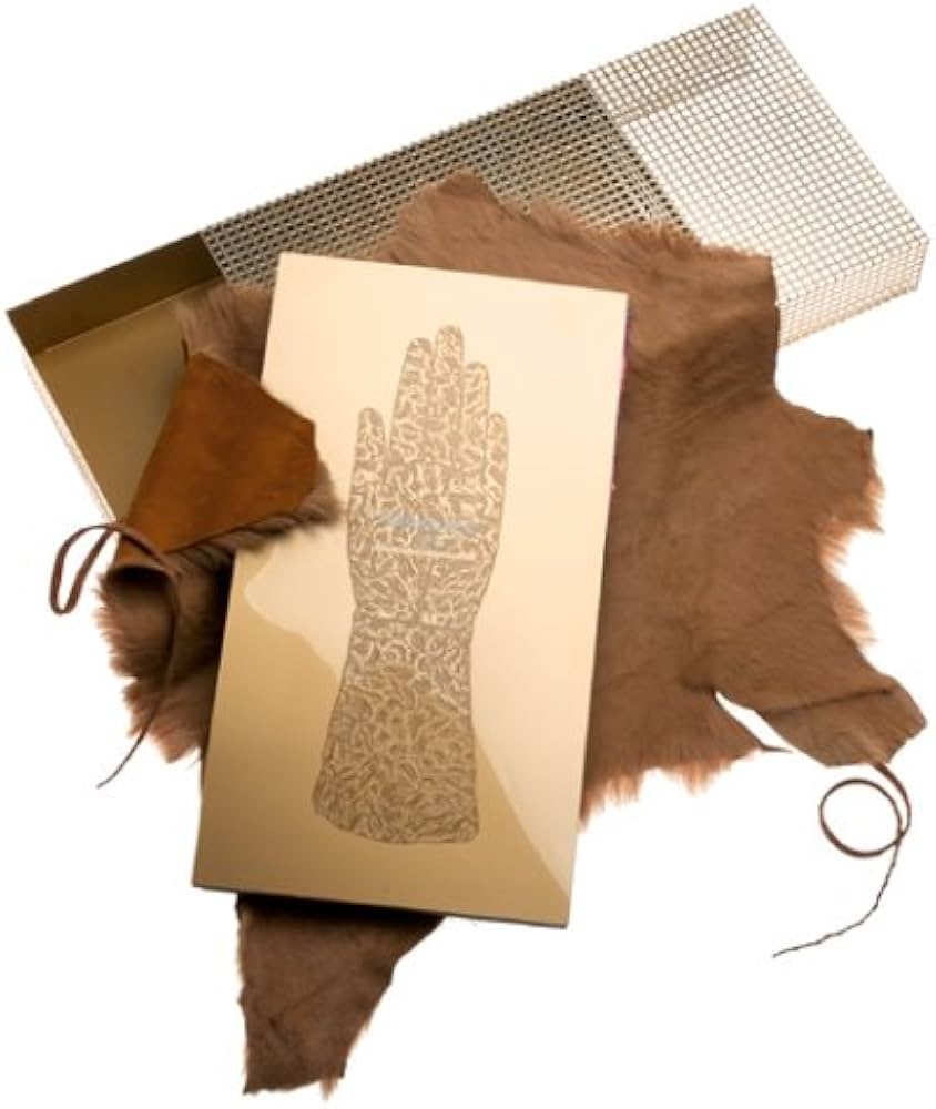 Amazon | Visionaire No. 33: Touch: A Collaboration with Fendi