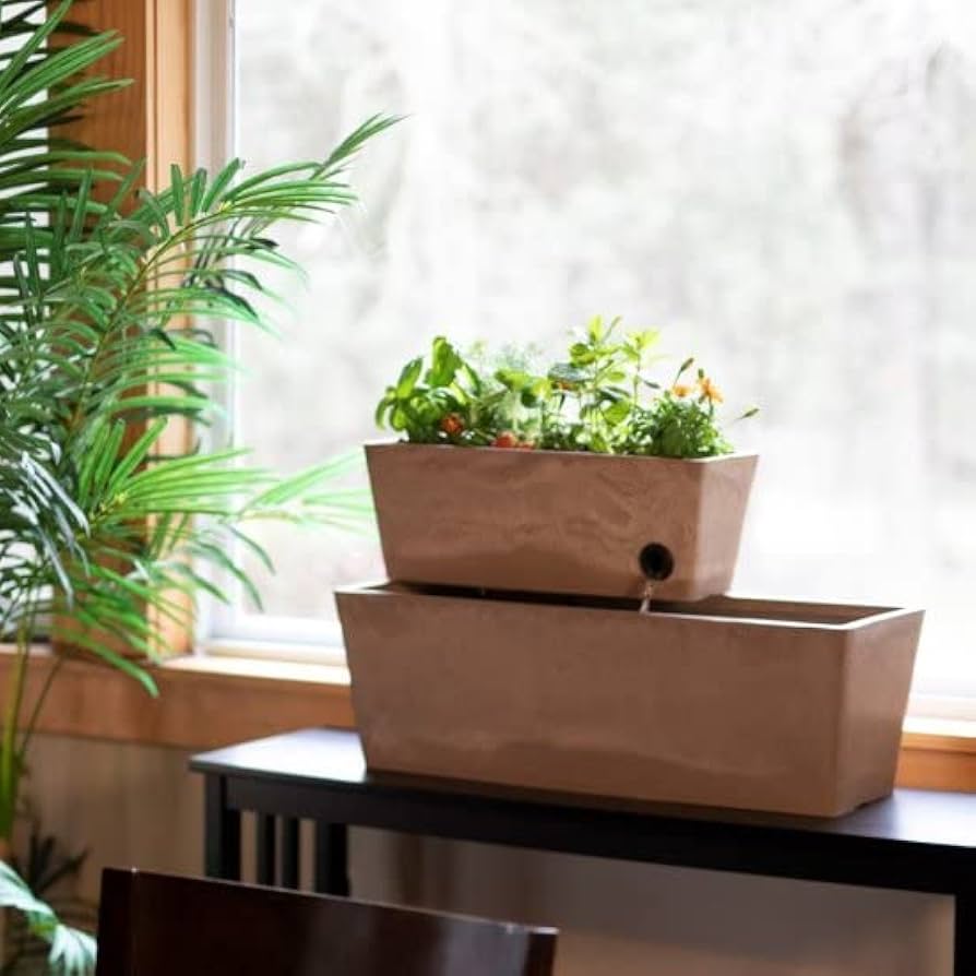 Amazon | アクアポニックス キット 水耕栽培 家庭菜園 RECTANGLE