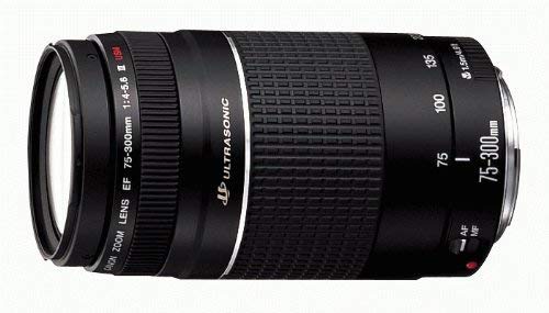 Amazon.com : Canon EF 75-300mm f/4-5.6 III Telephoto Zoom Lens for