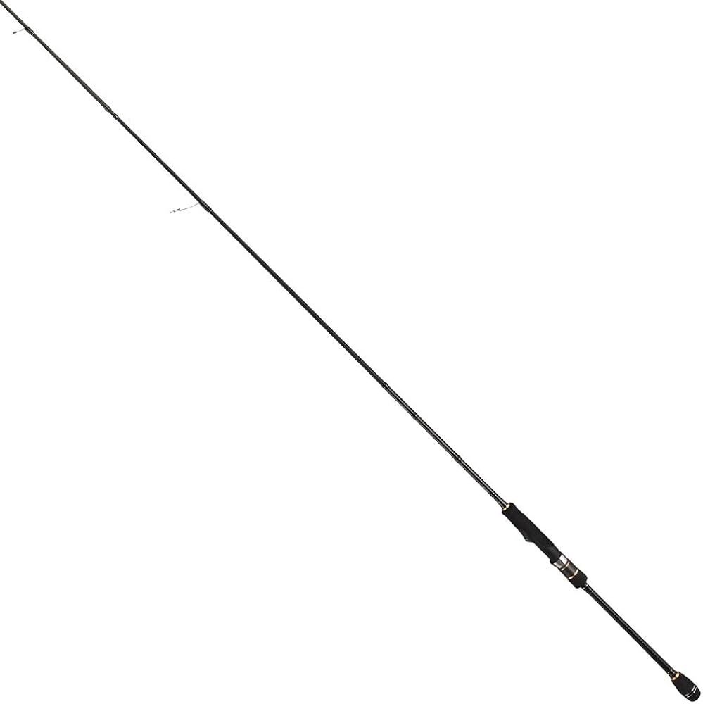 Amazon | テイルウォーク(Tailwalk) ロッド エギスト SSD 81M | テイル