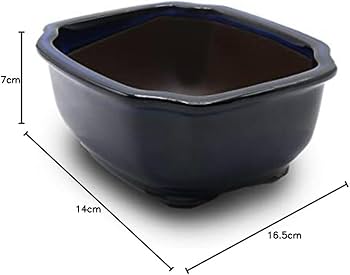 Amazon.co.jp: うめきち盆栽用品店 盆栽鉢 5.5号 木瓜鉢 モッコ鉢 青色
